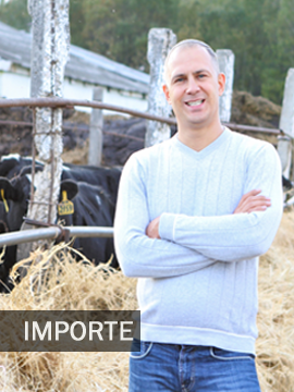 Importe